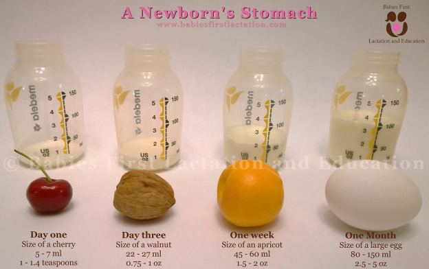 newborn-stomach-small[1]